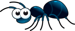 Ant