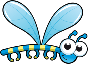 Fly